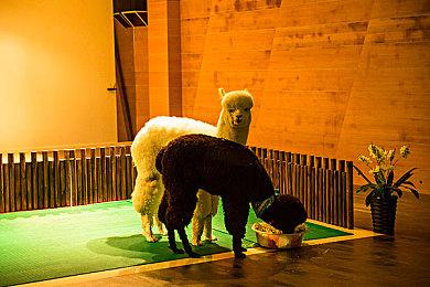 《漫威蜘蛛侠》玛丽简脸模被粉丝骚扰 发文谴责越界者